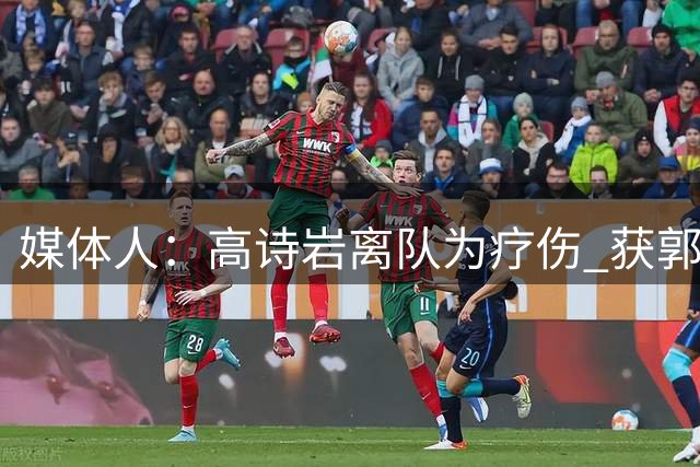 媒体人：高诗岩离队为疗伤 获郭士强重用因为是嫡系
